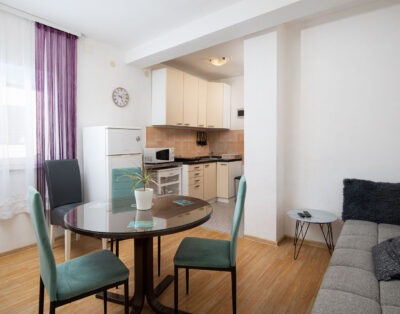 Apartman Vladimir