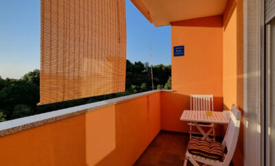 Apartman Mani